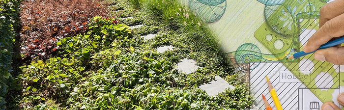 GROEN AANLEGGEN EN ONDERHOUDEN?